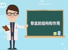 【医疗科普】：你知道骨盆在人体中有什么作用吗？